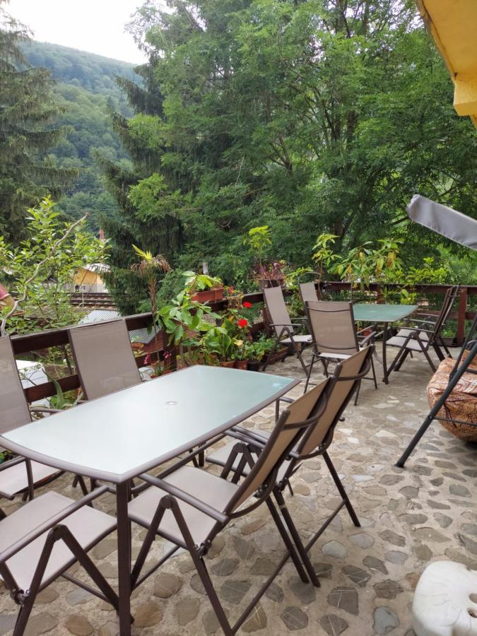 Pensiune Casa Barcaru 아주가 외부 사진